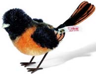 Oriole Bird